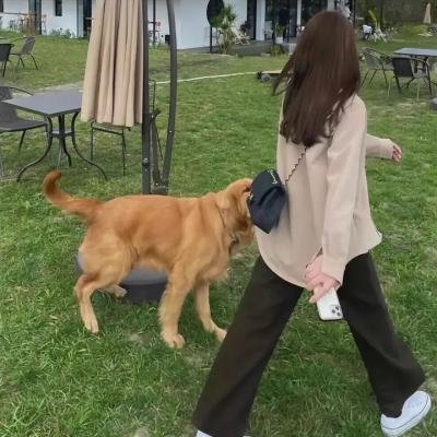 老病号