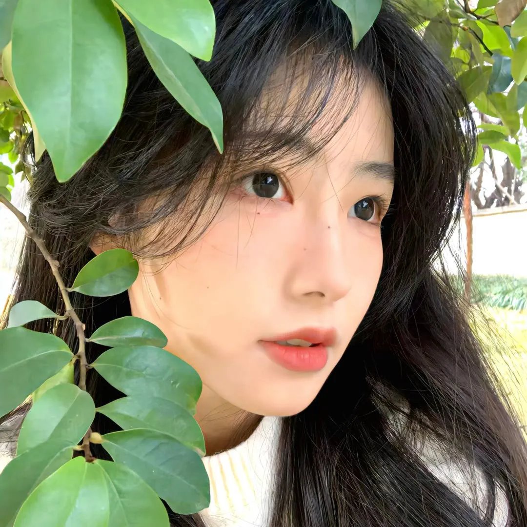 我家的执事如是说